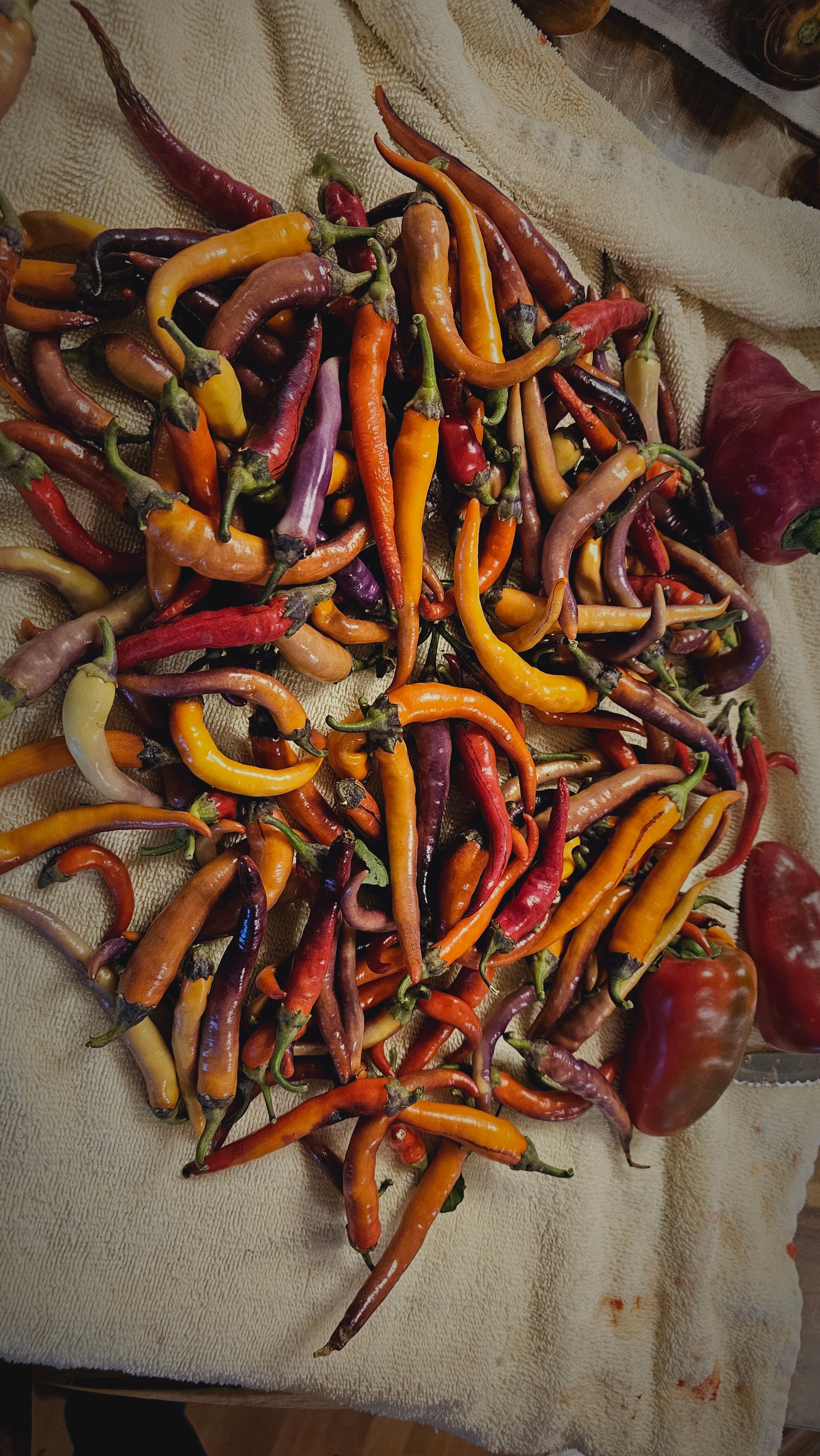 Hot Peppers