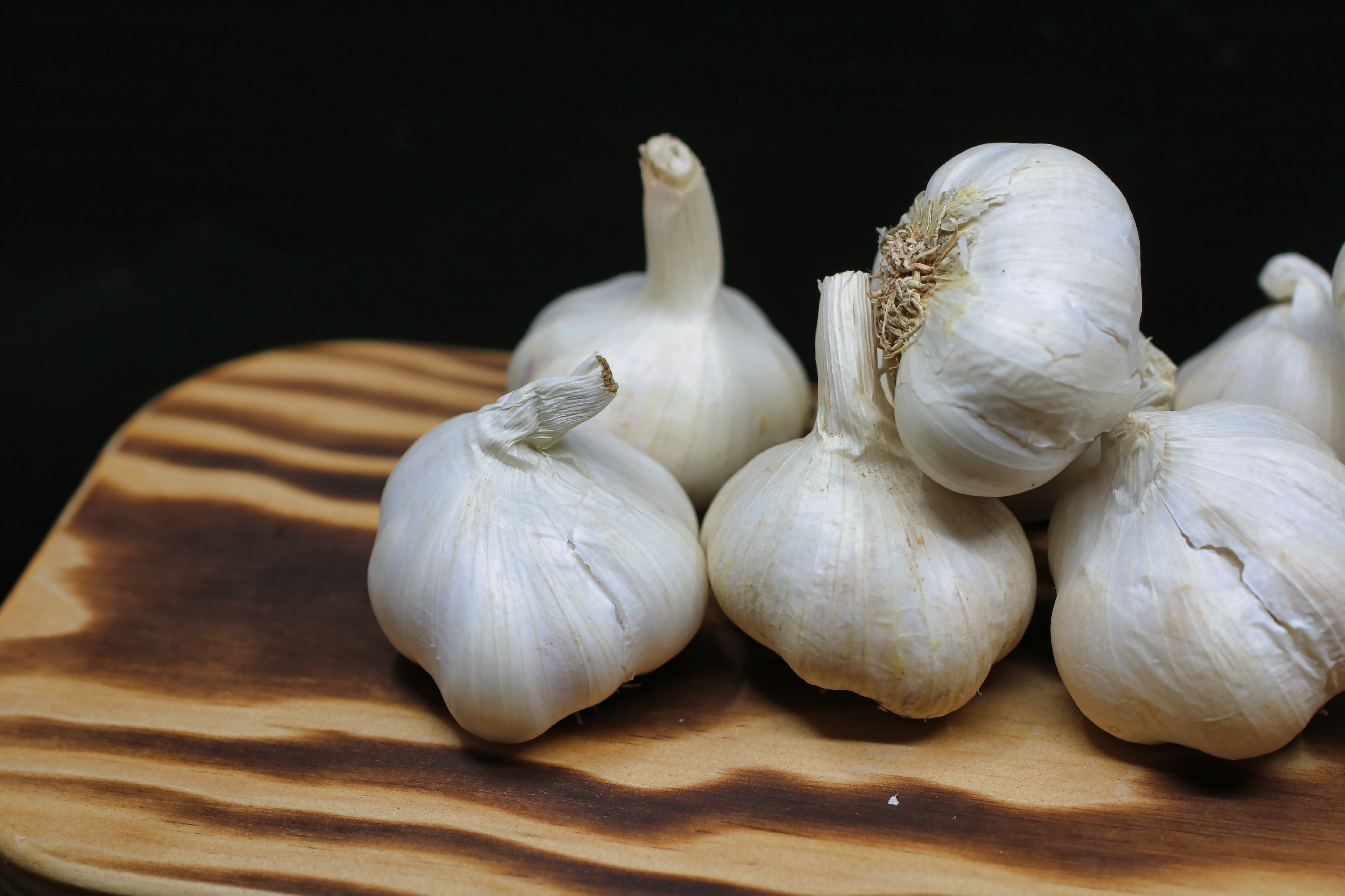 Elephant Garlic (SEED)